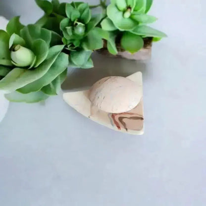 Coupelle triangulaire et petit aroma posé sur une table avec 3 plantes grasse verte 