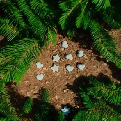 Fondant cèdres posés sur de la terre sur le sol.
au tour se trouvent des branches d'arbre de sapin