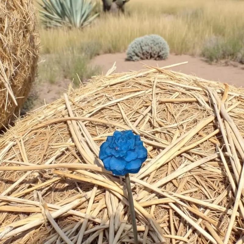 Petite fleur œillet bleue posée sur de la paille en plein champ ensoleillé