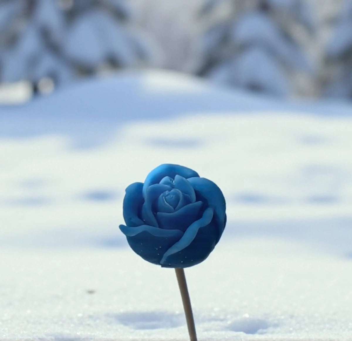 Petite rose bleue en cire de soja naturelle plantée dans la neige — fleur parfumée artisanale à acheter, décoration hivernale originale.