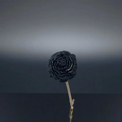 Petite pivoine noire Lulu Baladine sur fond dégradé gris élégant et minimaliste. »
Title : Petite pivoine noire – Lulu Baladine