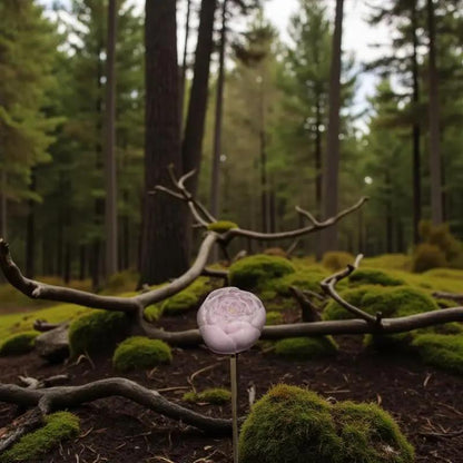 Petite renoncule vieux rose en cire artisanale, fleur entourée d'une forée et d'arbre mort  – Lulu Baladine