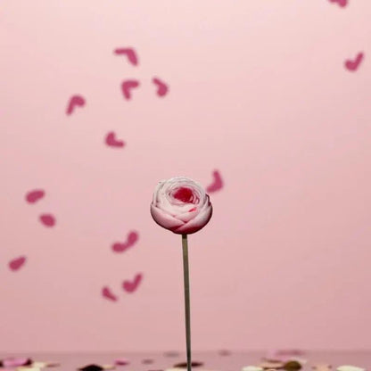 Petite renoncule bordée rouge en cire artisanale, fleur romantique sur fond rose parsemé de pétales – Lulu Baladine