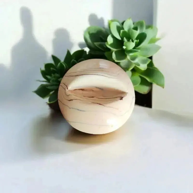 Support pied seul pour aroma et galet avec plante grasse derrière 